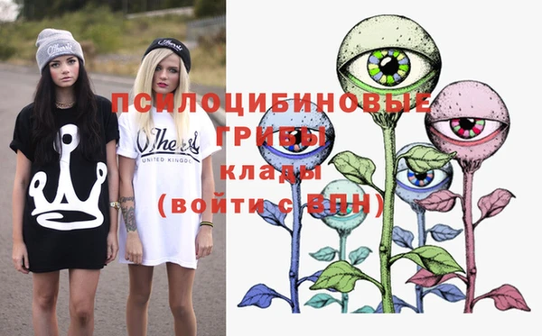 ешки Алексеевка