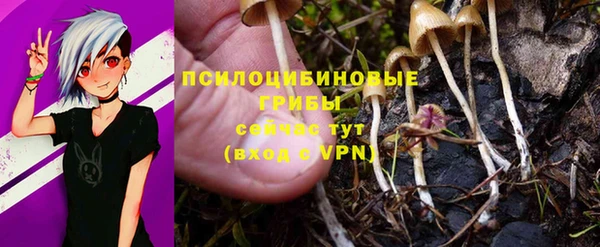 ALPHA-PVP Покров